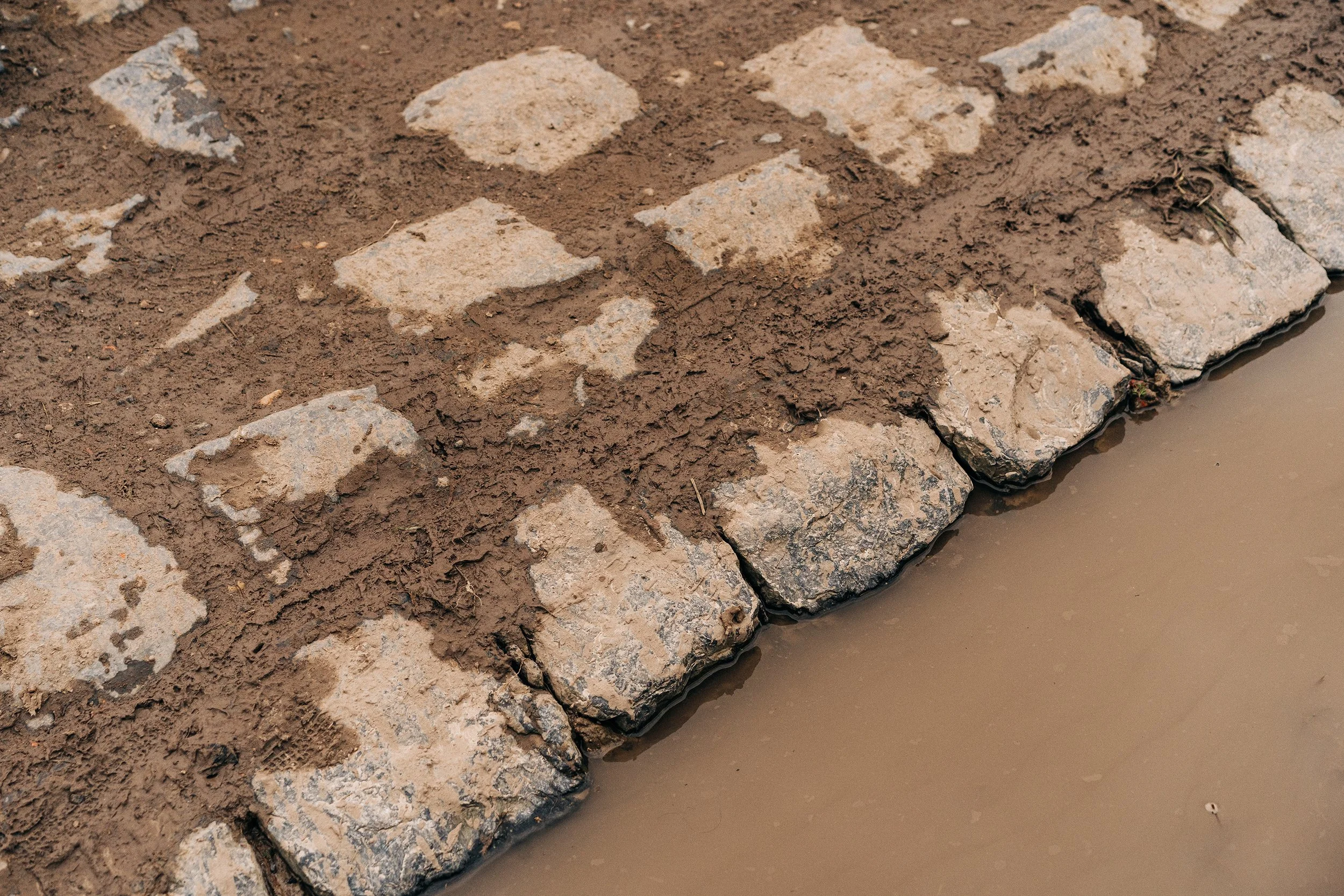 ParisRoubaixFemmes-42.jpg