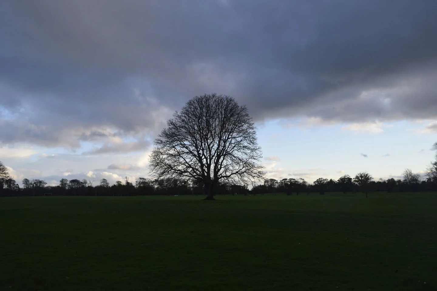 DSC0558.jpg
