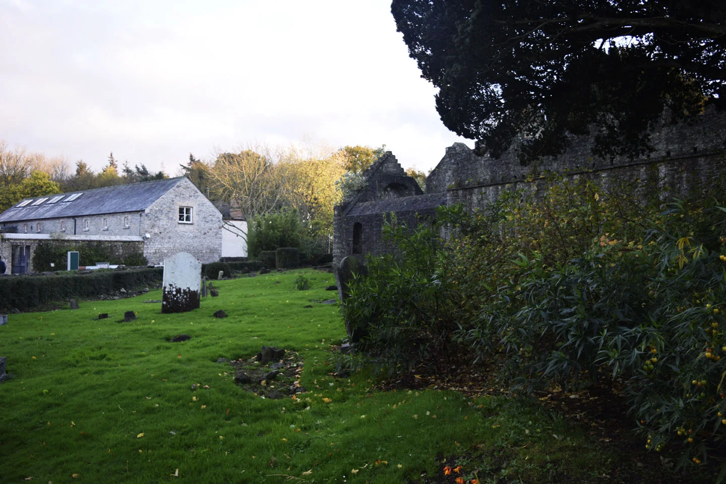 DSC0584.jpg