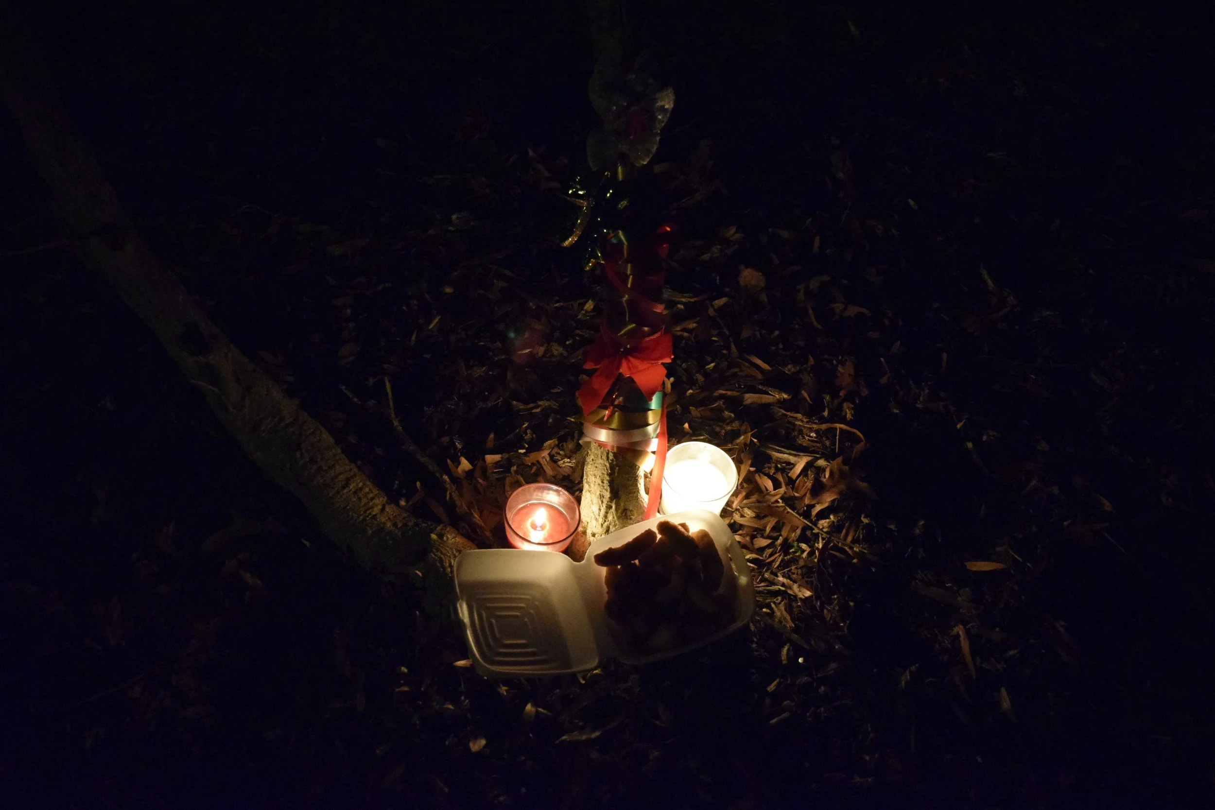 RIP ARA JO