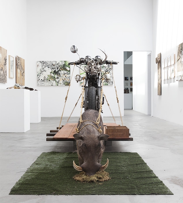 Shooting Gallery 2014