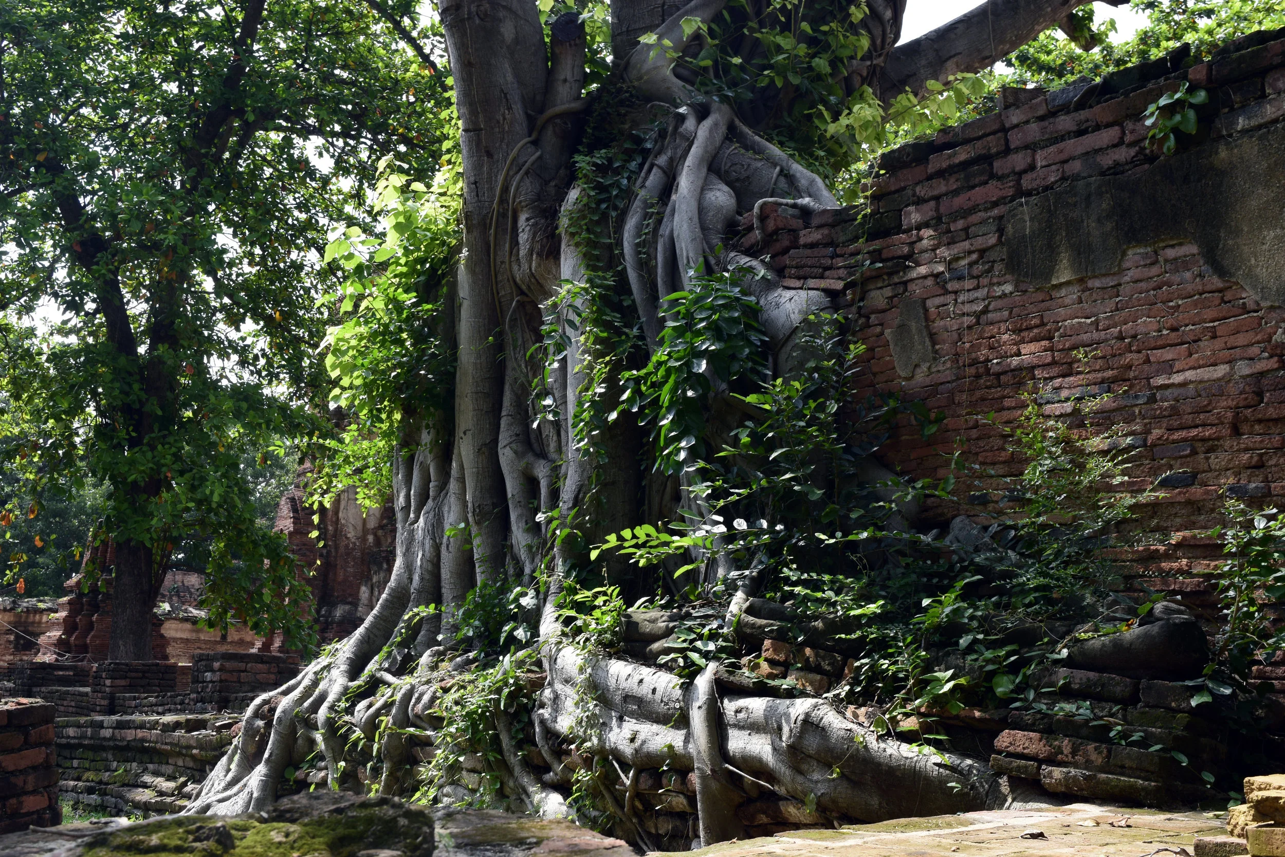 Thailand Adventure 69 .jpg
