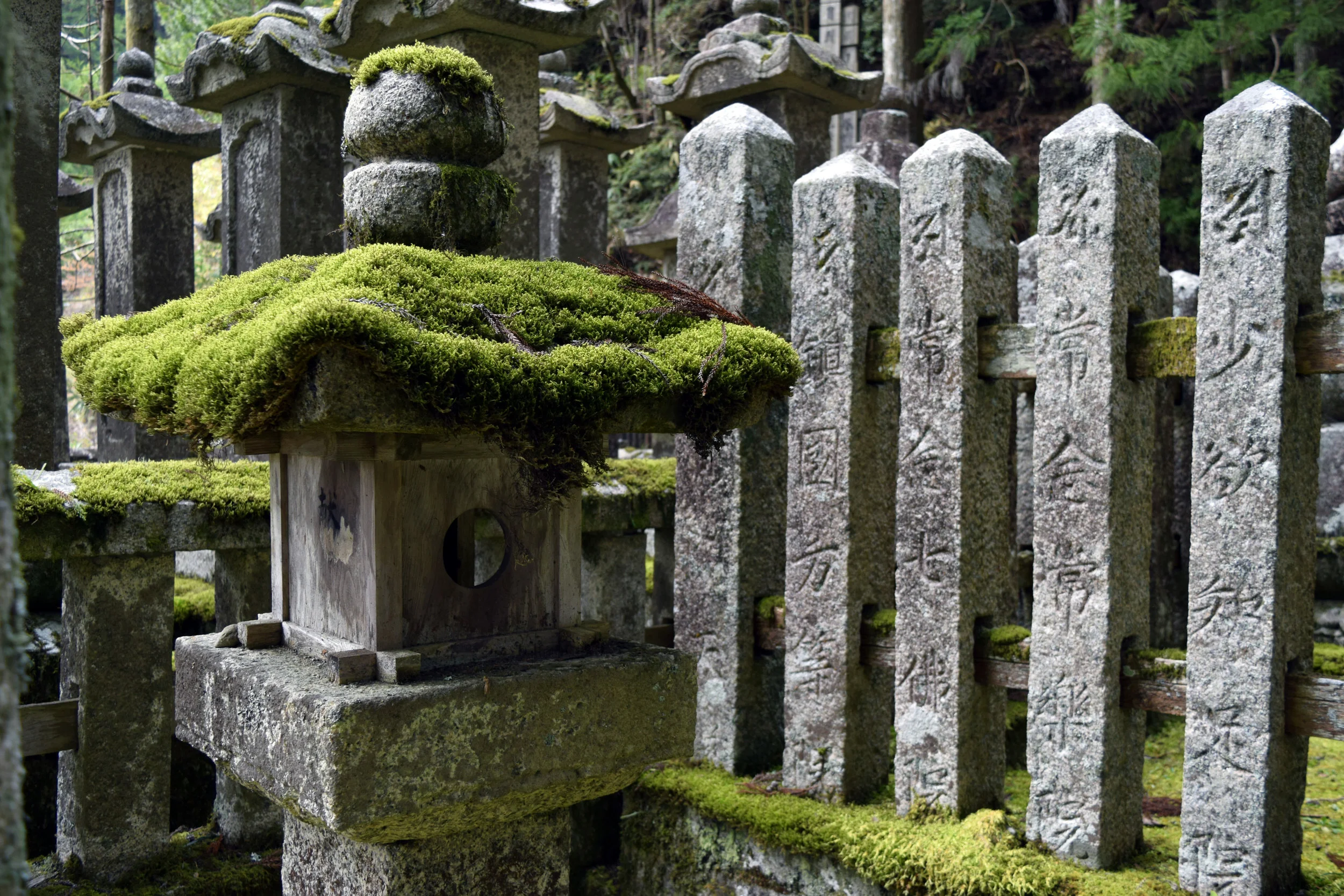 Okunoin, Koyasan, Japan, 2018 JFA III