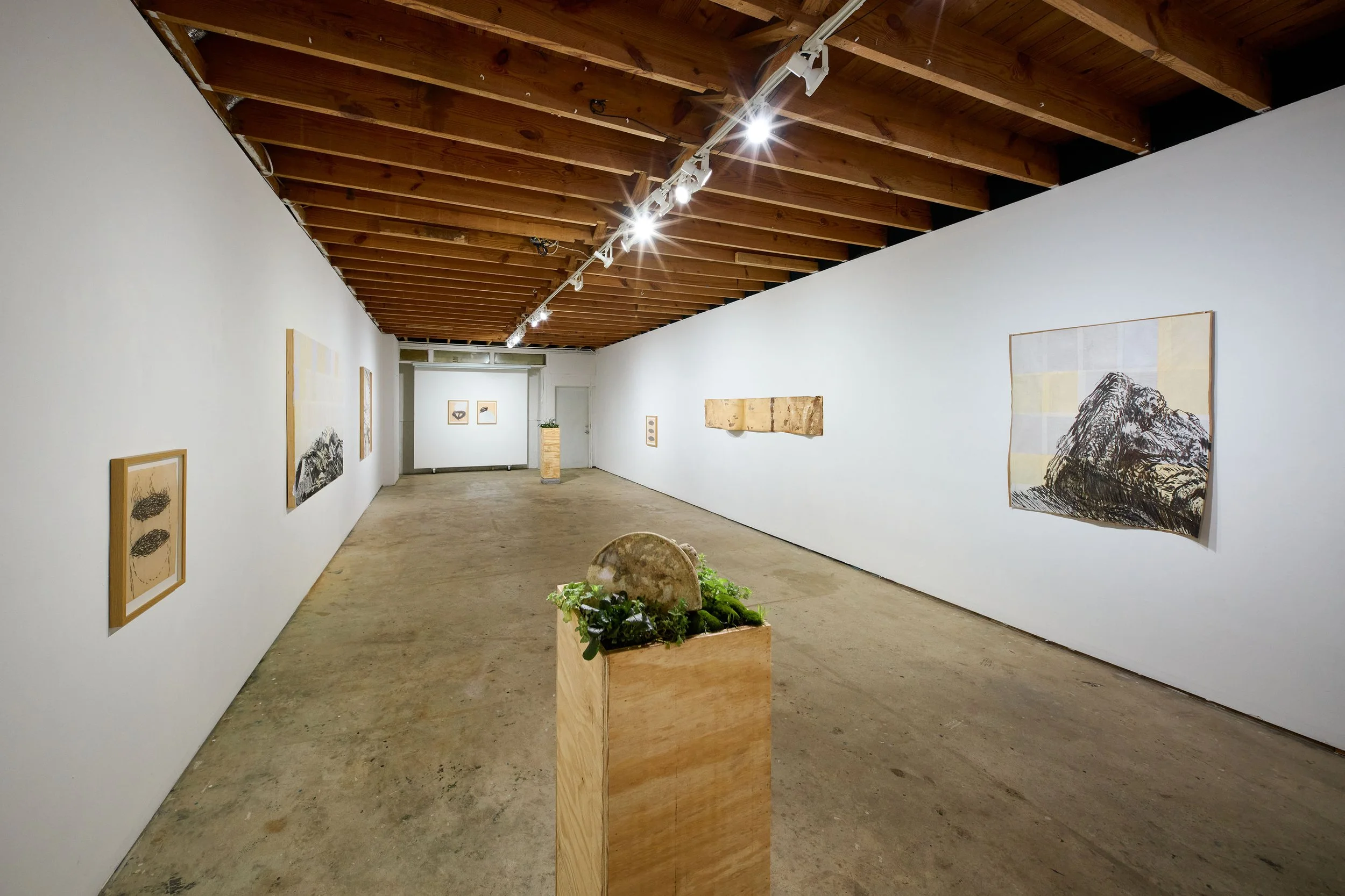 Sermons in the Soil