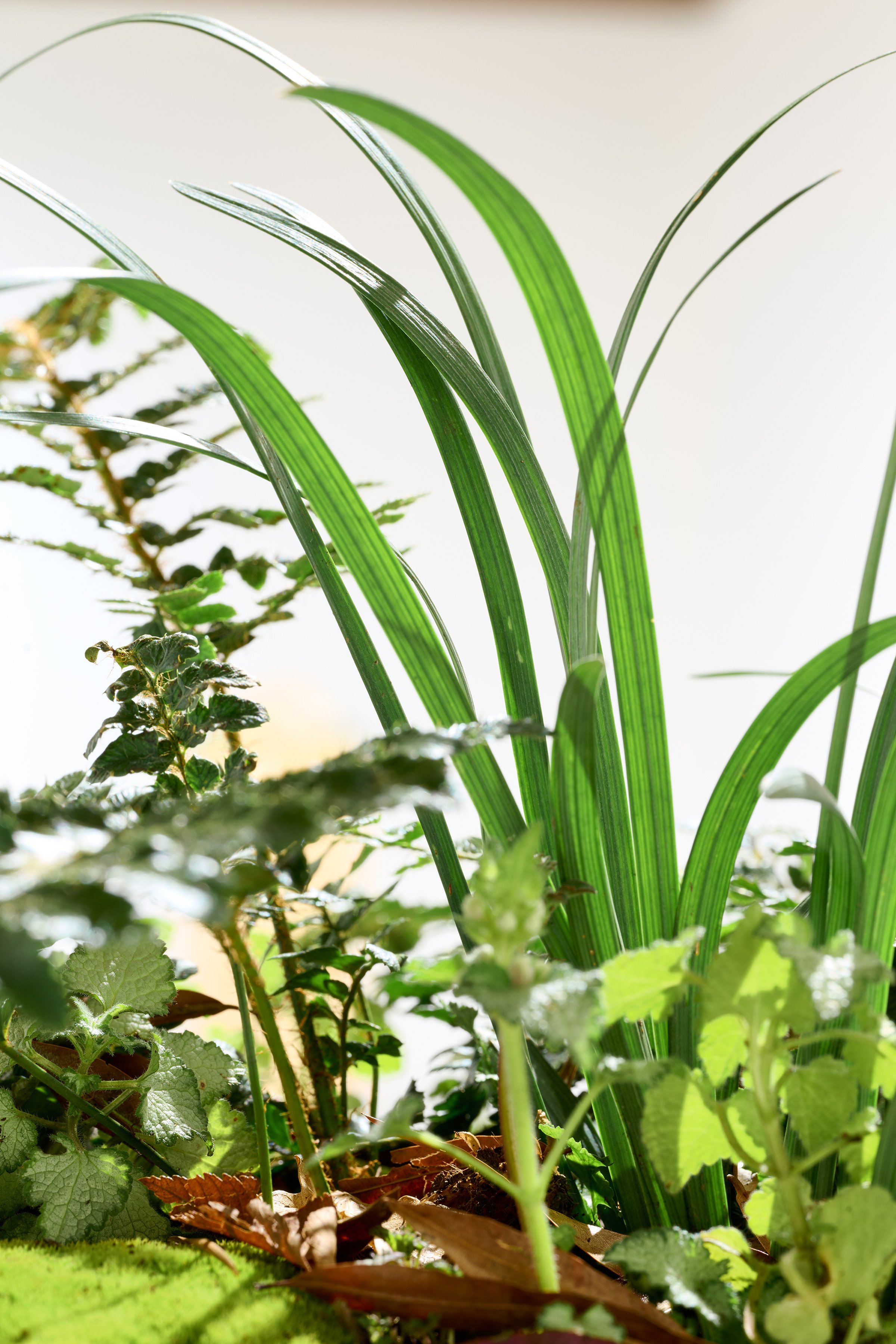 Sermons in the Soil