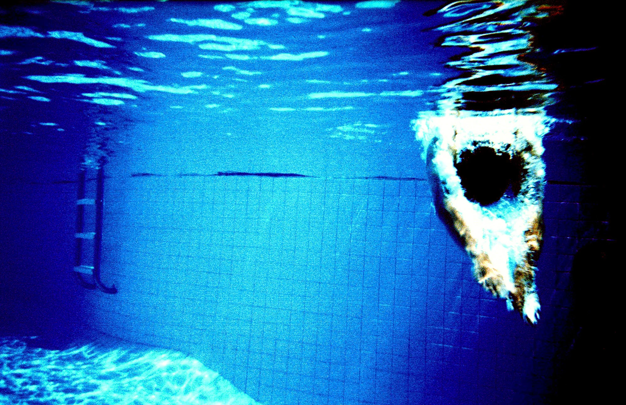 Self-Portrait, Diving. 2006.