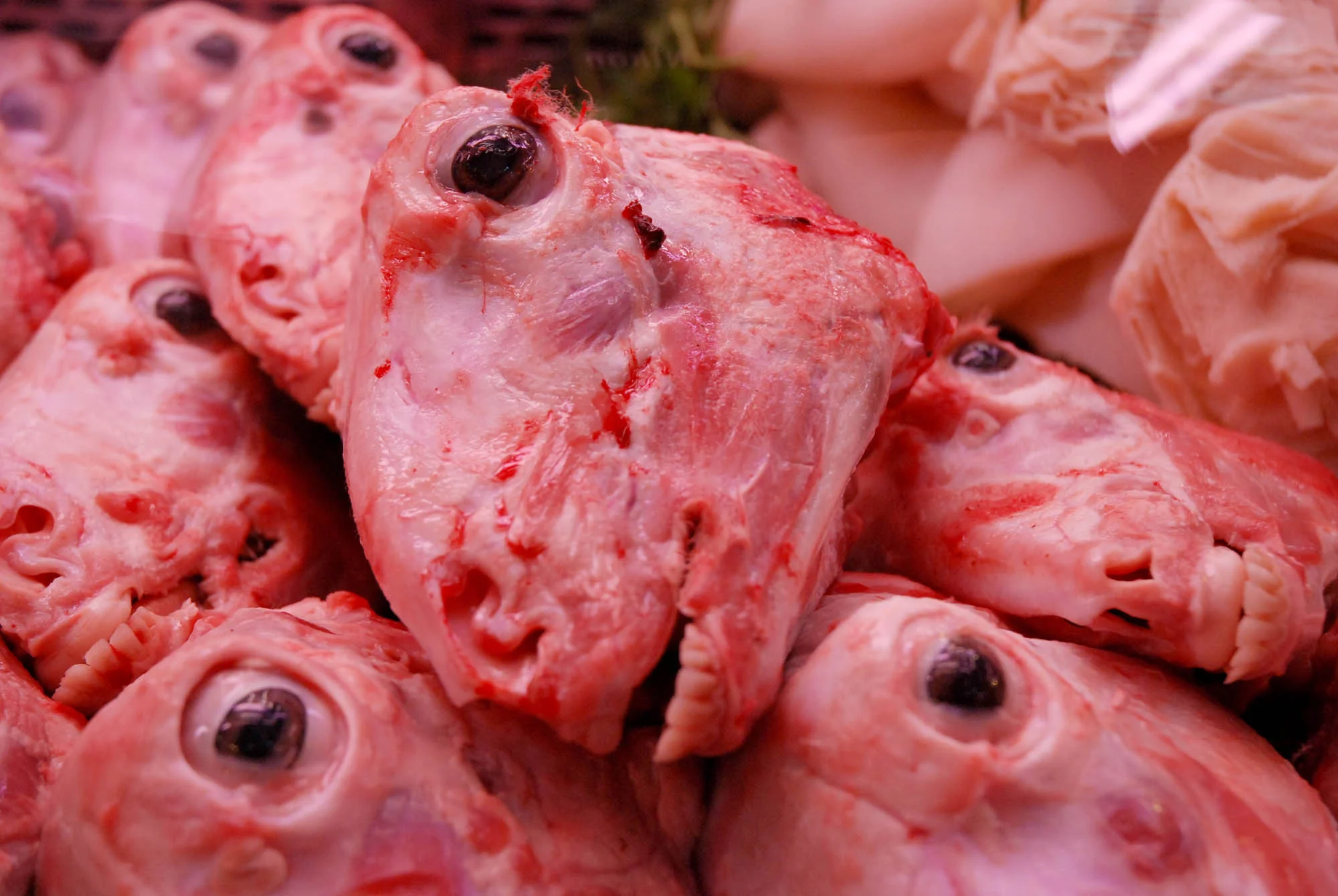 Sheeps' Heads, The Boqueria Market, Barcelona, Spain. 2007.