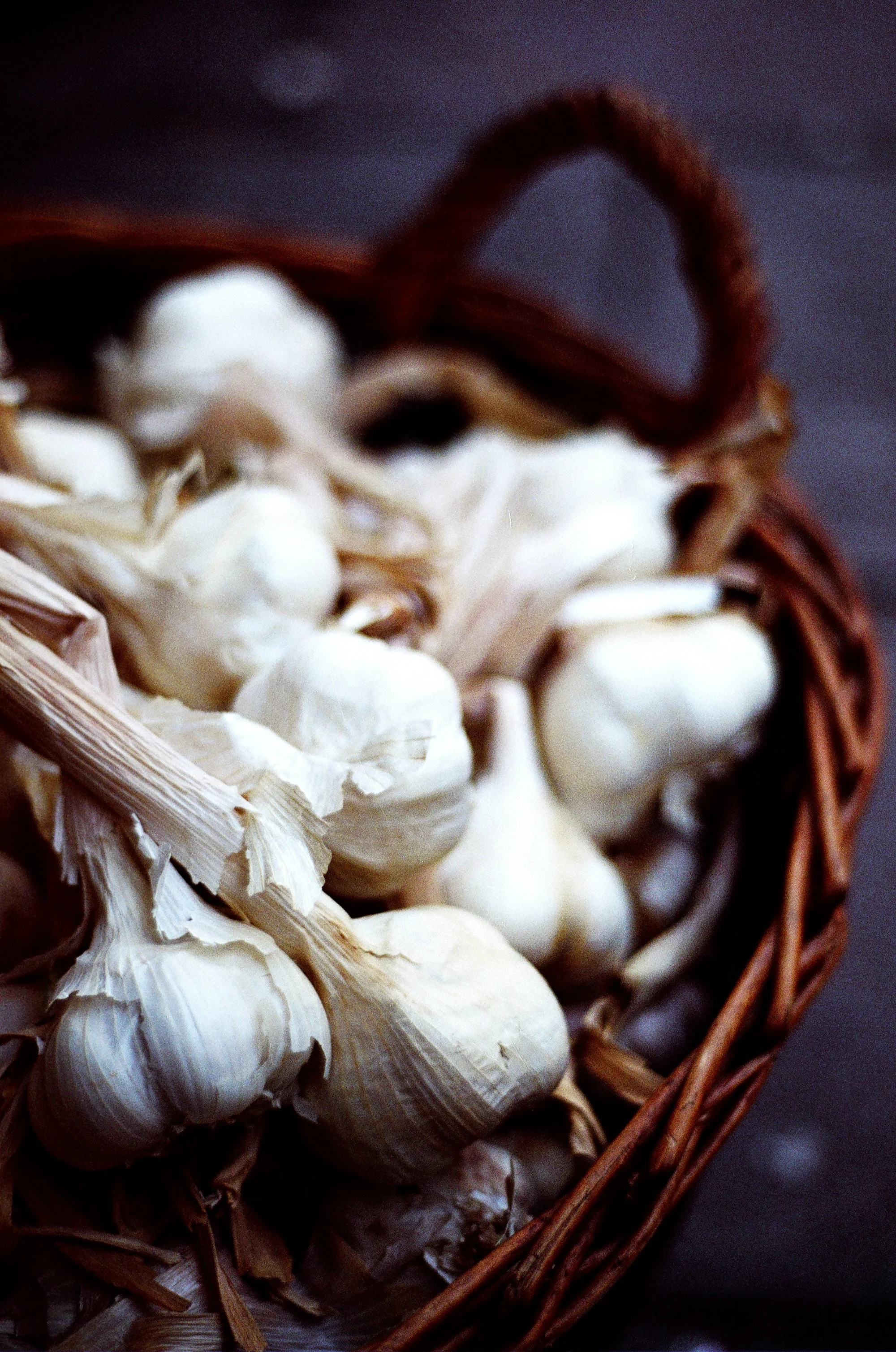 Garlic at the St.Nick's Farmers' Market. Bristol. 2007.