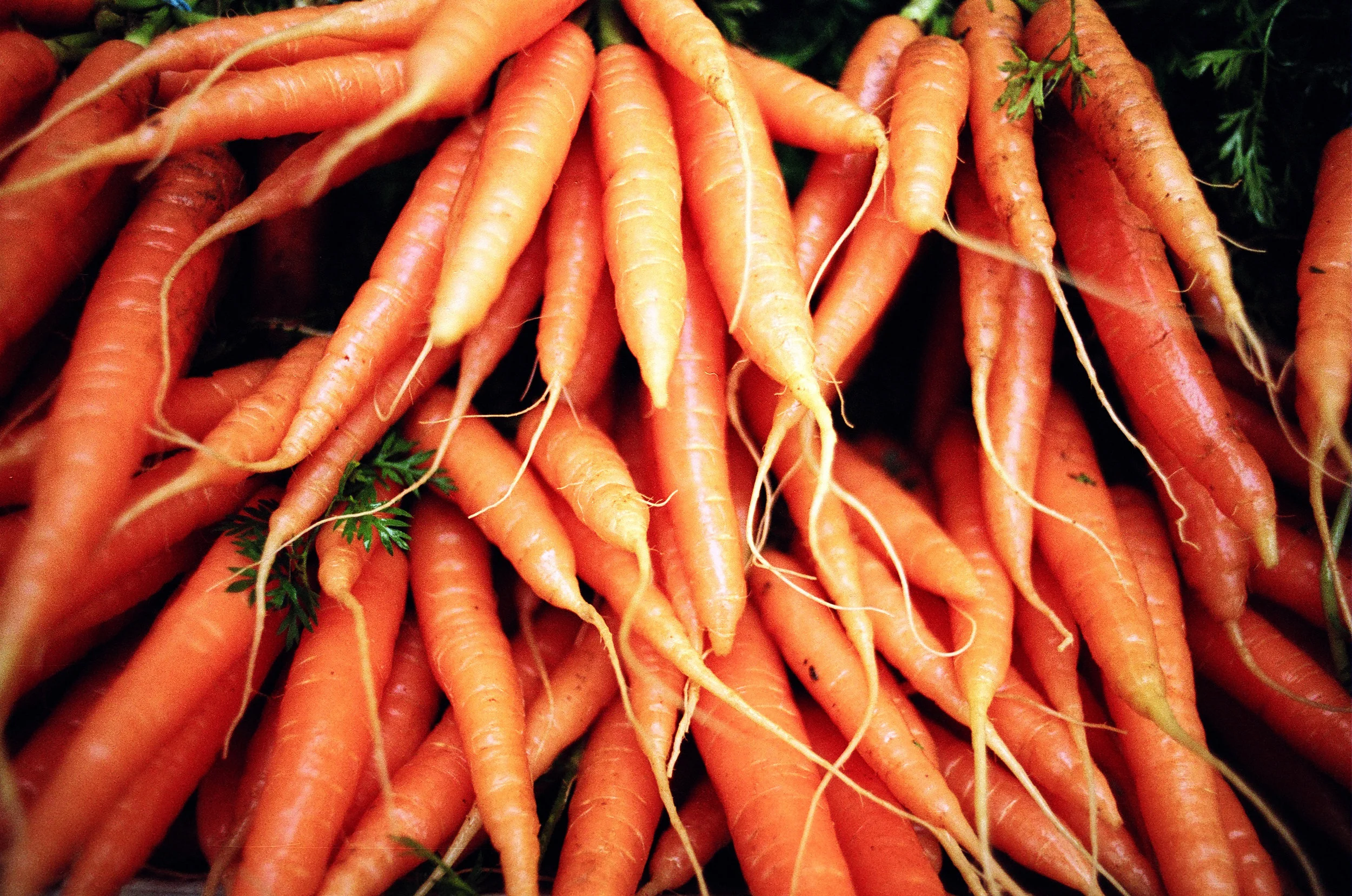 Carrots. Farmers' Market.Bristol. 2006.