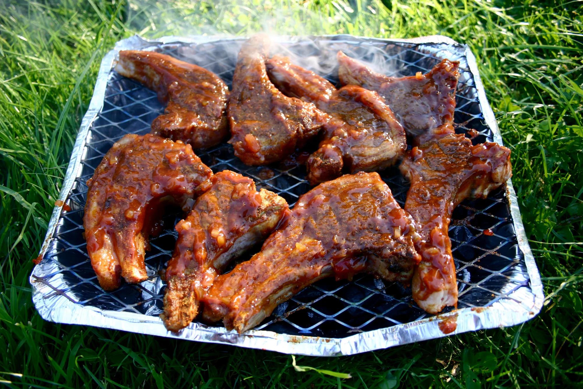 Bar B Q on the Downs. Bristol. 2006.