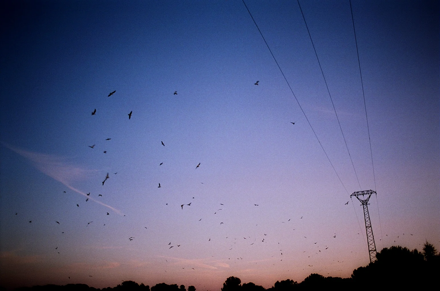 Dusk, near Sète, France. 2004.
