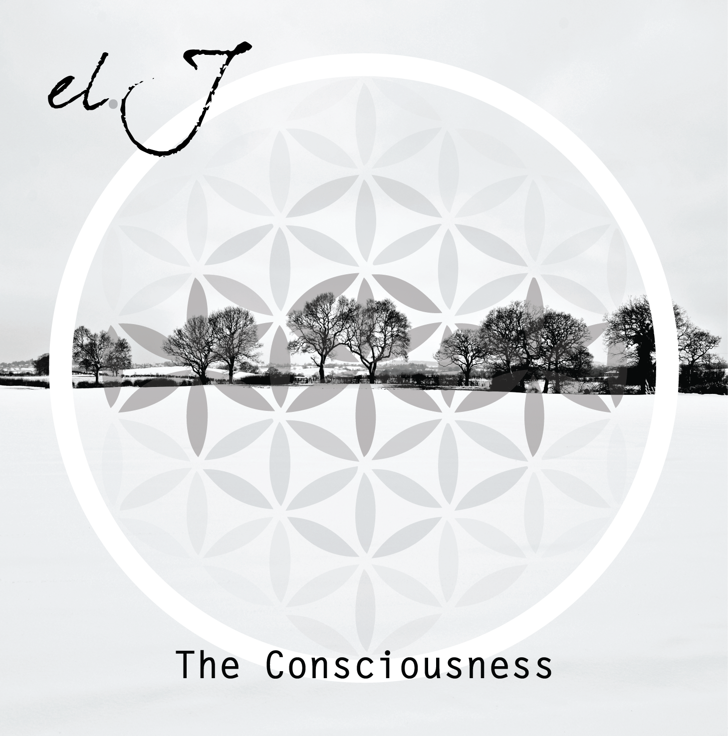 El J - El J - The Consciousness - cover.png