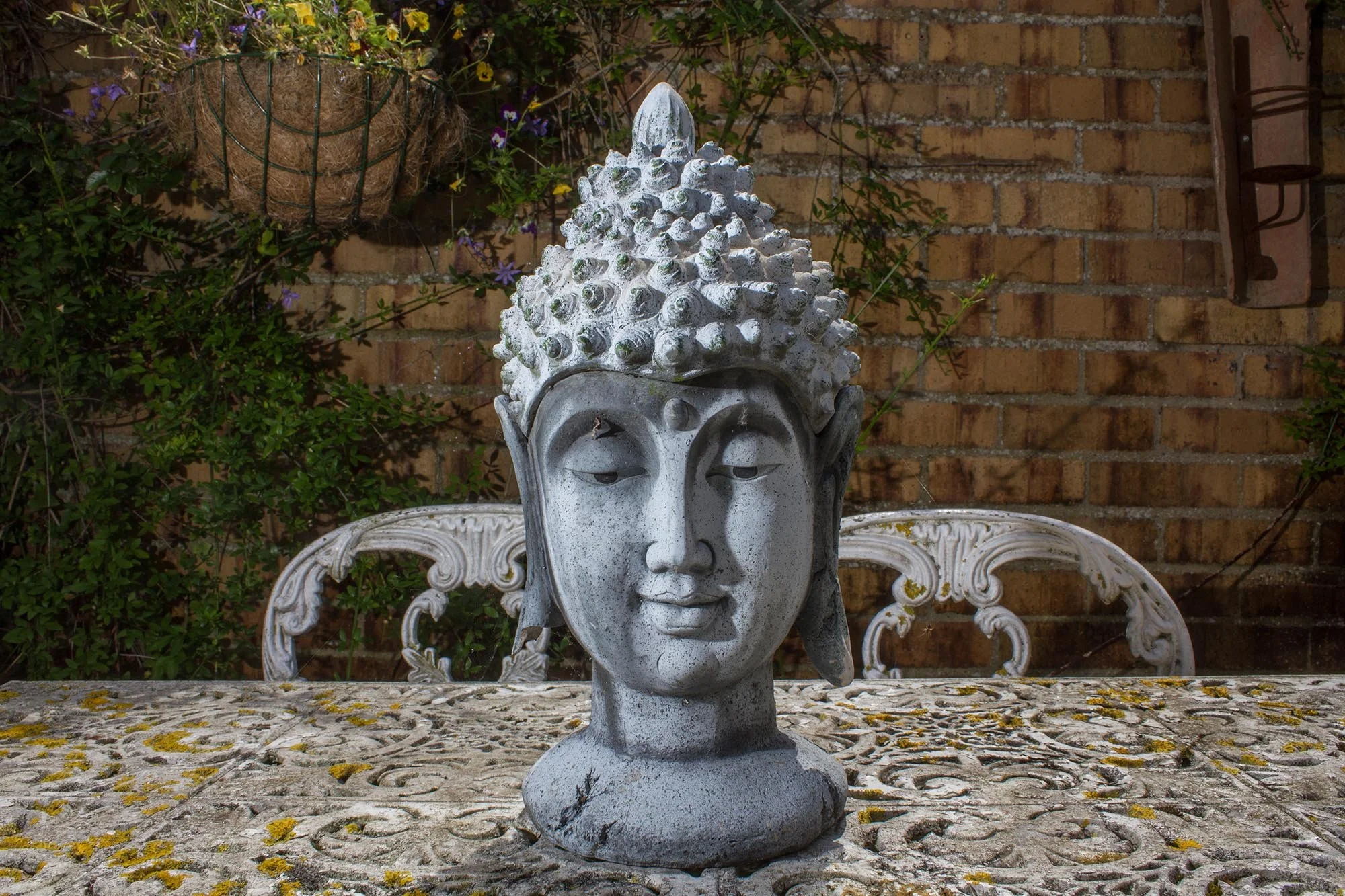 Buddha in Celia and Ian's Garden. March. 2013.