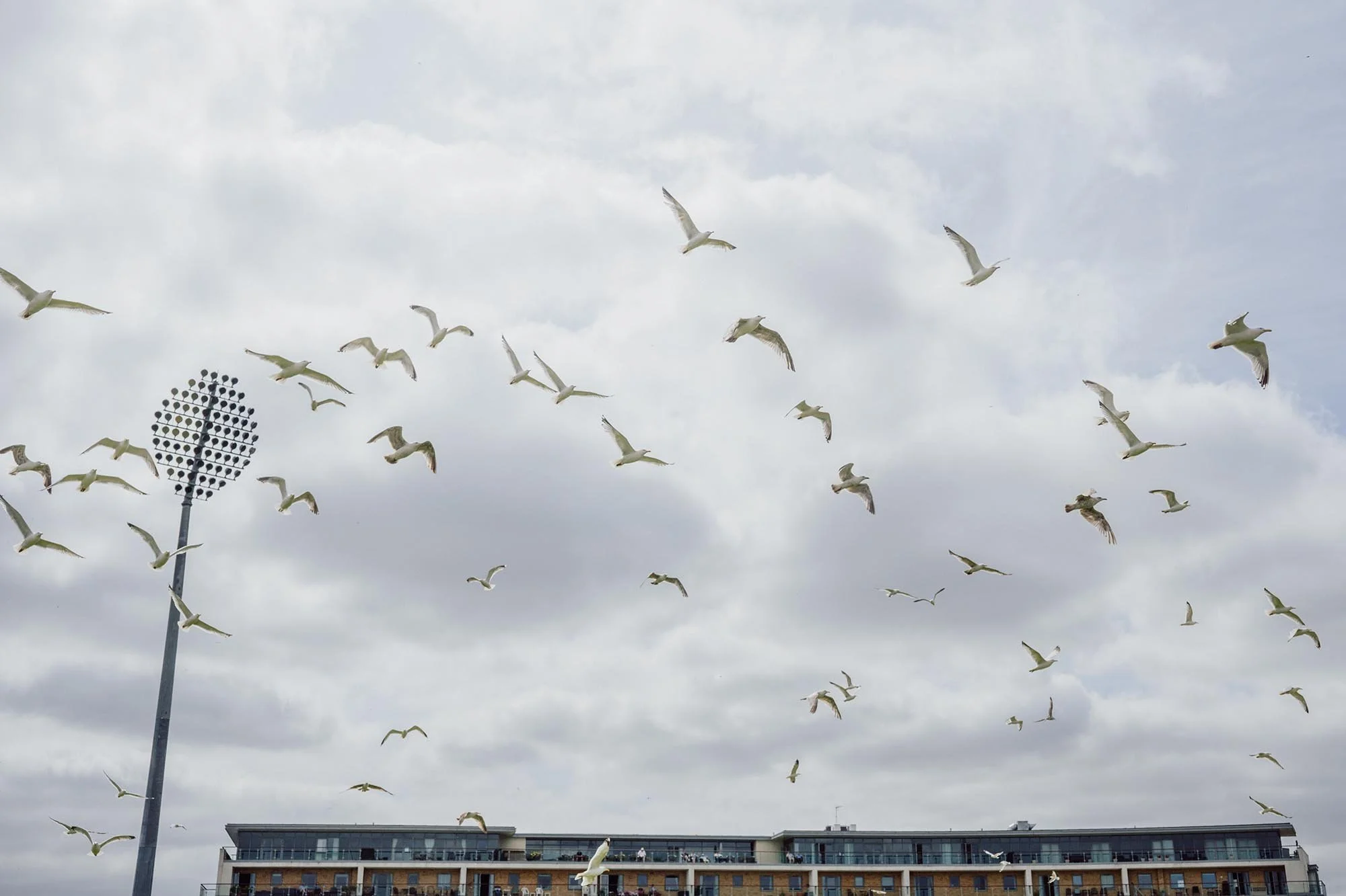 Somerset County Cricket Ground. Taunton. 2025.