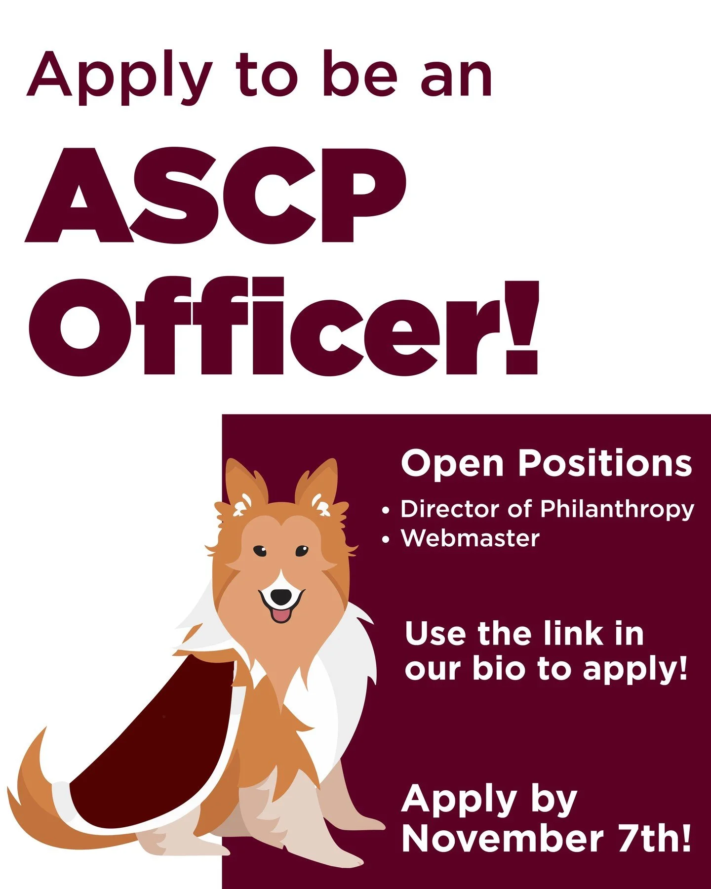 Howdy Ags! A few of our officers are graduating in December, so we have two positions open for Spring 2026! Apply by November 7th through the link in our bio!
