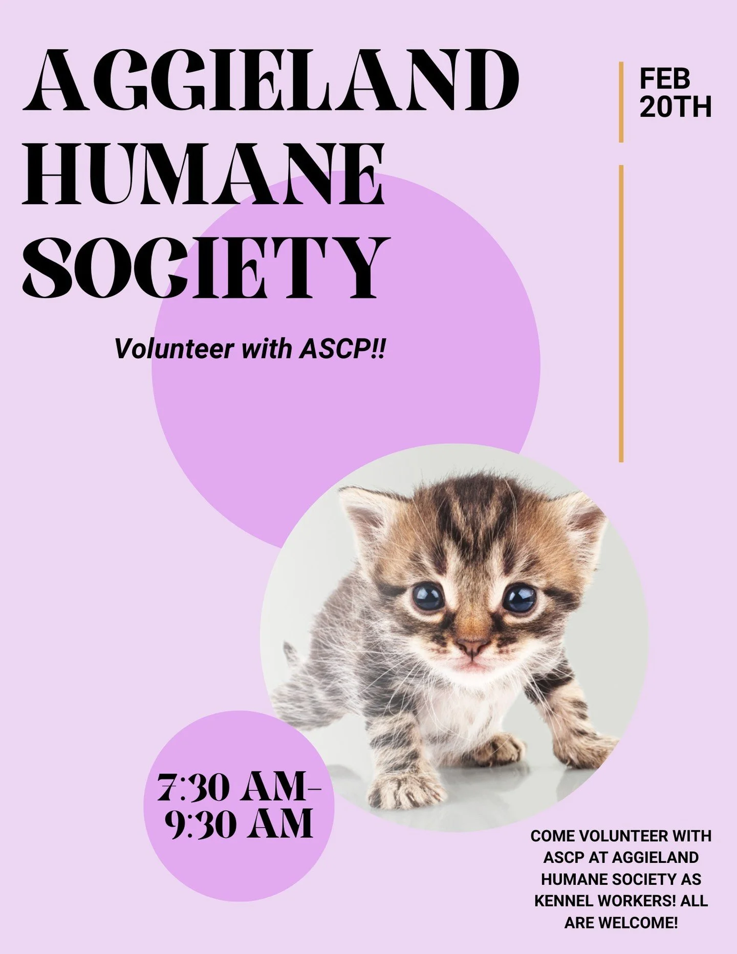Come volunteer with ASCP at the Aggieland Humane Society! All skill levels are welcome - Click the link in our bio to sign up! 🐾👍