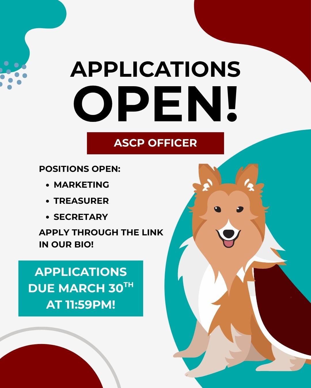 Howdy Ags! We are so excited to announce that applications are open for the 2026-2027 ASCP officers! Apply through the link in our bio by March 30th! Feel free to reach out if you have any questions 👍