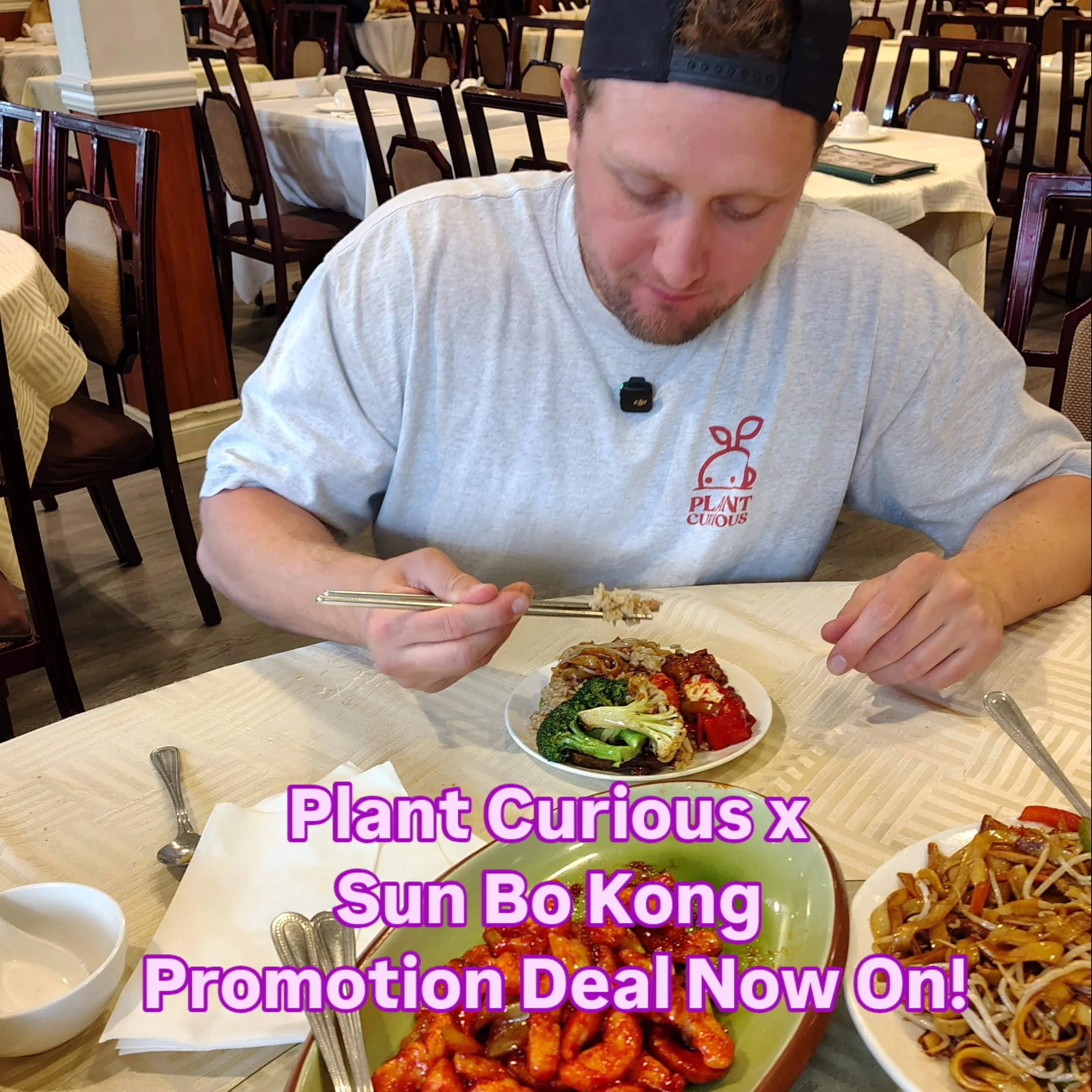 Plant Curious x Sun Bo Kong 
Best Promotion Deal Now On!
@thisisplantcurious

"Buy Two Get One FREE!"
 
Grab this Promotion Offer from the "Plant Curious" Website Starting From 2026 May 25th! 

Simply order Two dishes from the &qu