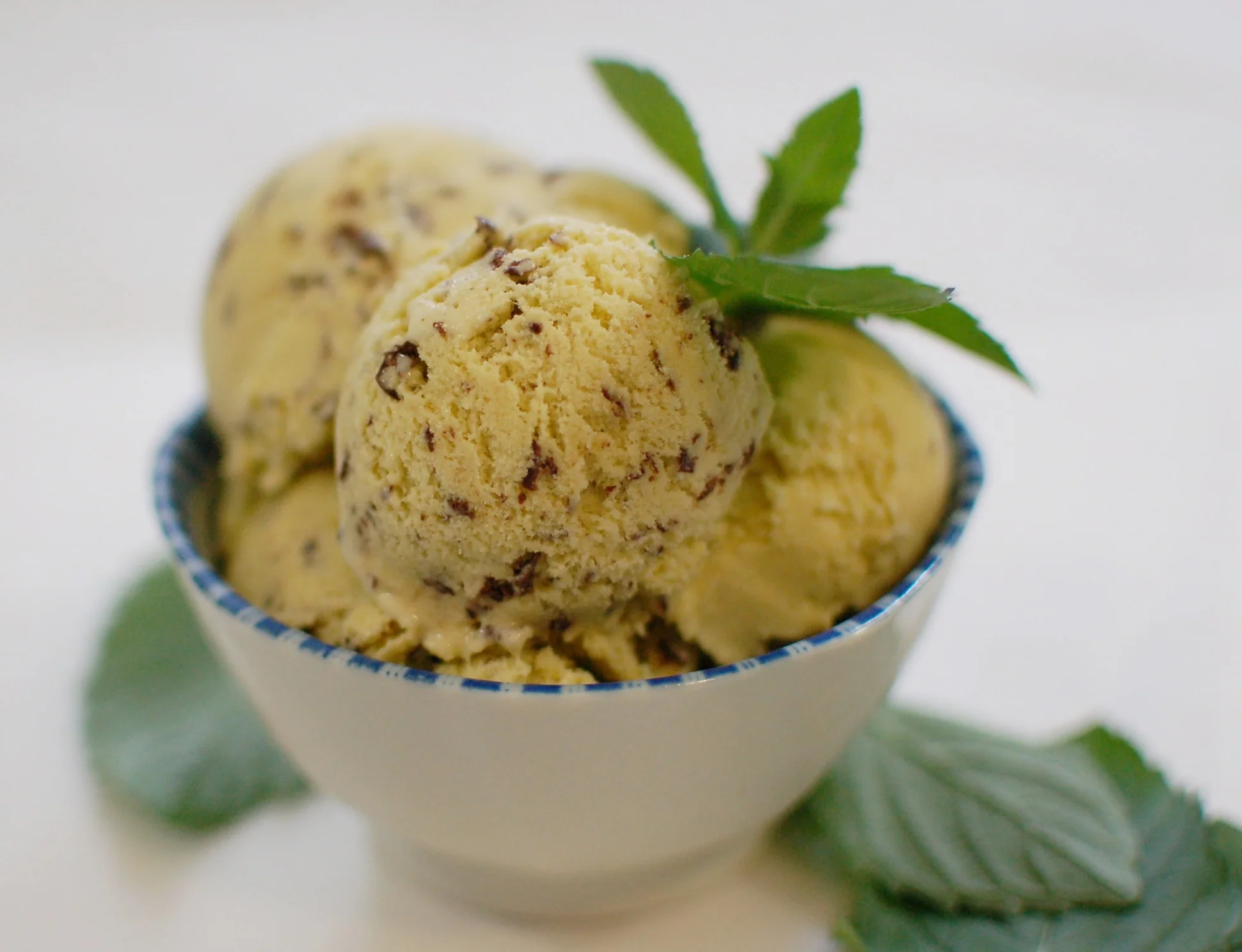 Coconut Mint Chip Ice Cream