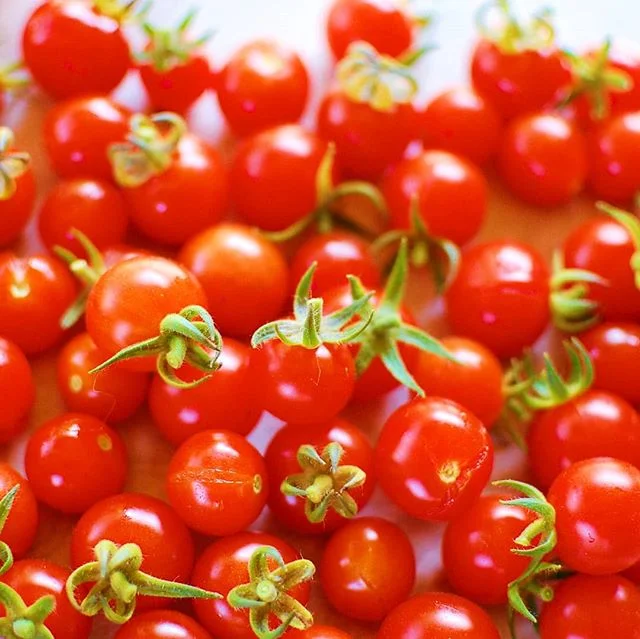 Every spring, we faithfully head over to @mullengardenmarket to pick up a few Sweet Million cherry tomato plants. This is the most accurate name for a plant we have ever seen! The tomatoes on these babies are sweet like candy and we literally have mi