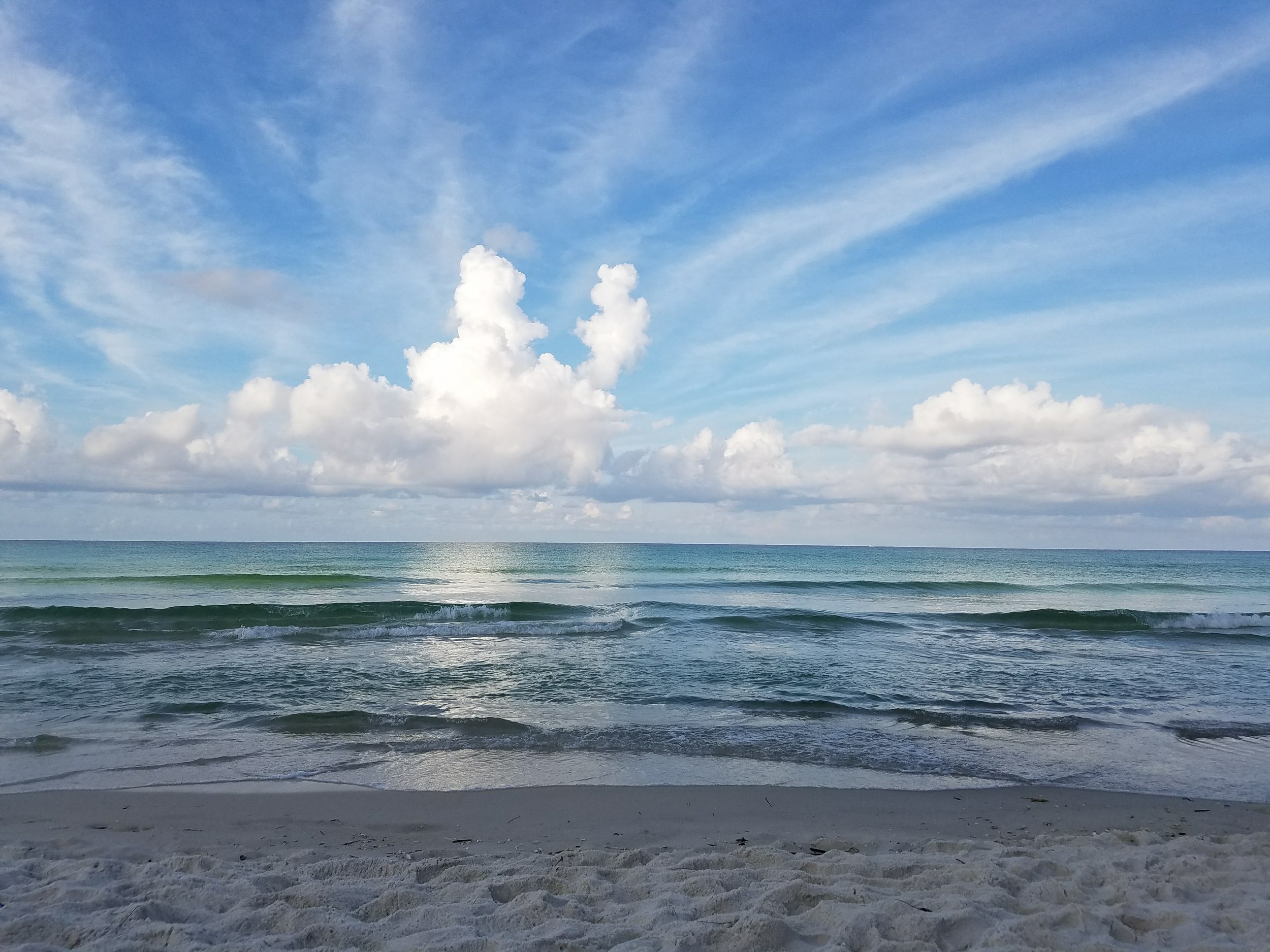 PCB coast.jpg