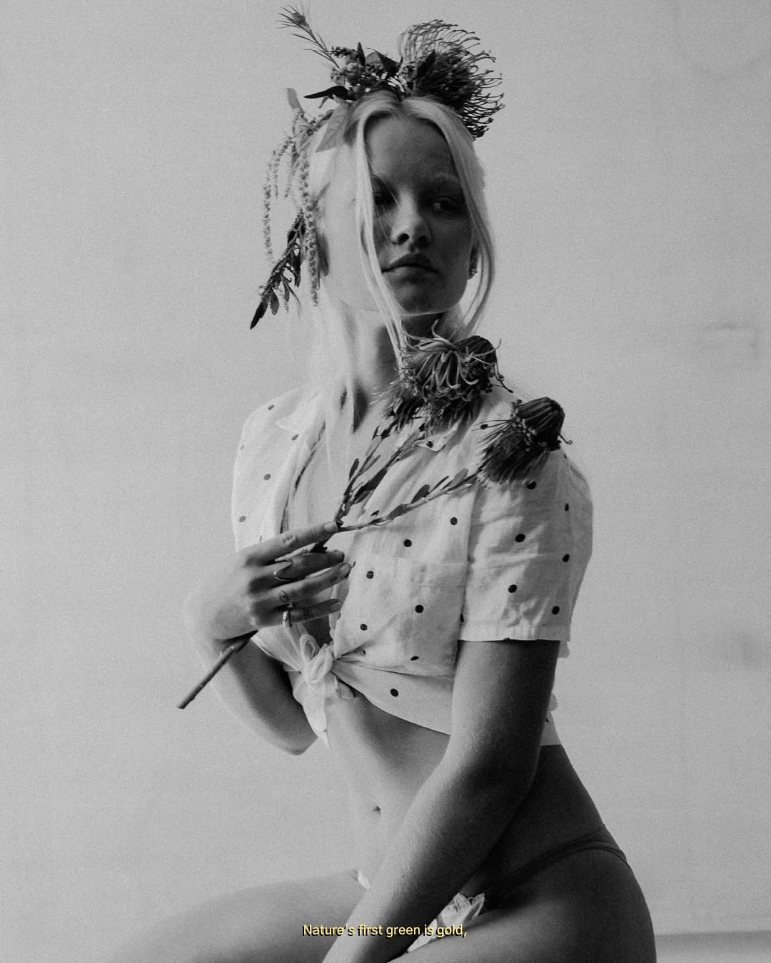 &ldquo;Nature&rsquo;s first green is gold,
Her hardest hue to hold.
Her early leaf&rsquo;s a flower;
But only so an hour.
Then leaf subsides to leaf.
So Eden sank to grief,
So dawn goes down to day.
Nothing gold can stay.&rdquo;
Robert Frost