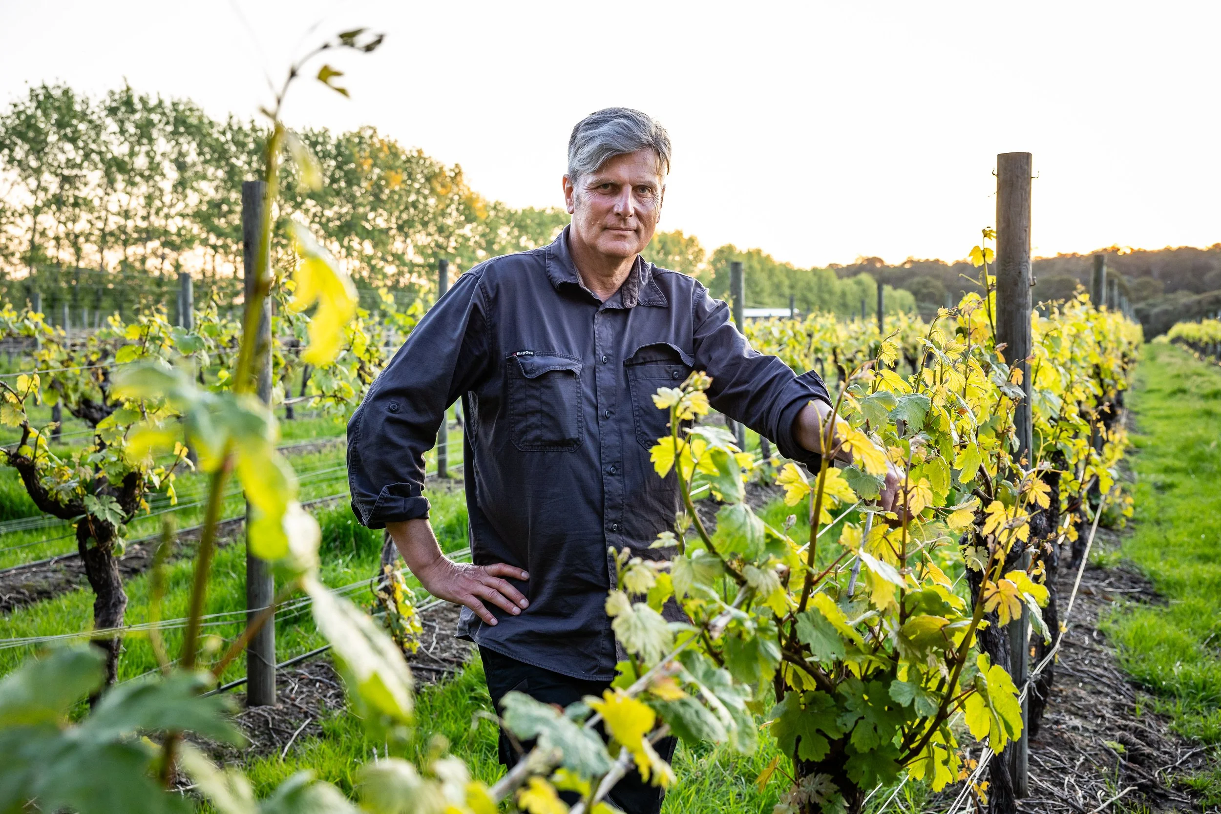 Margaret River winemaking comes full circle