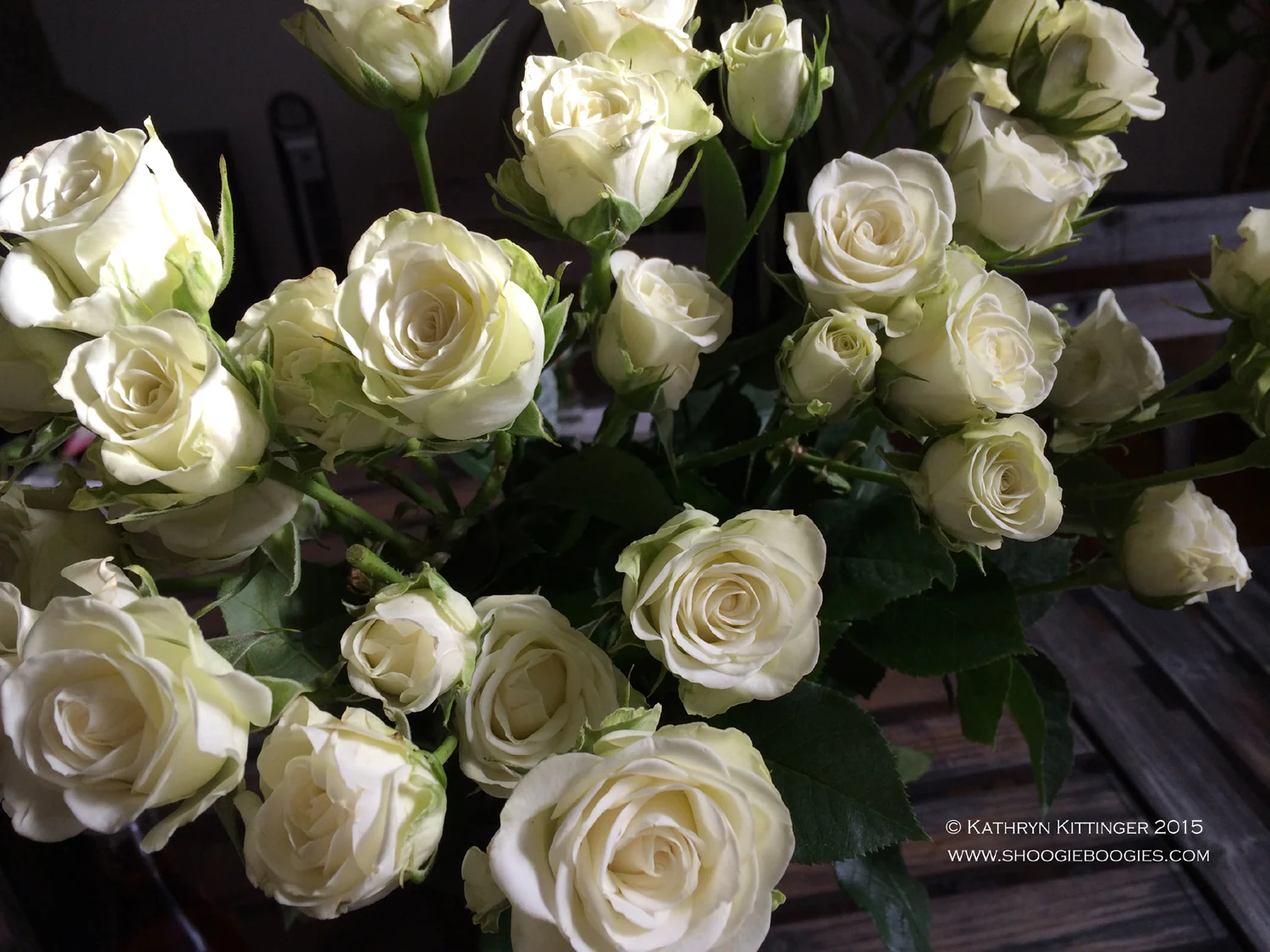 IMG_0295 1500 plain.jpg