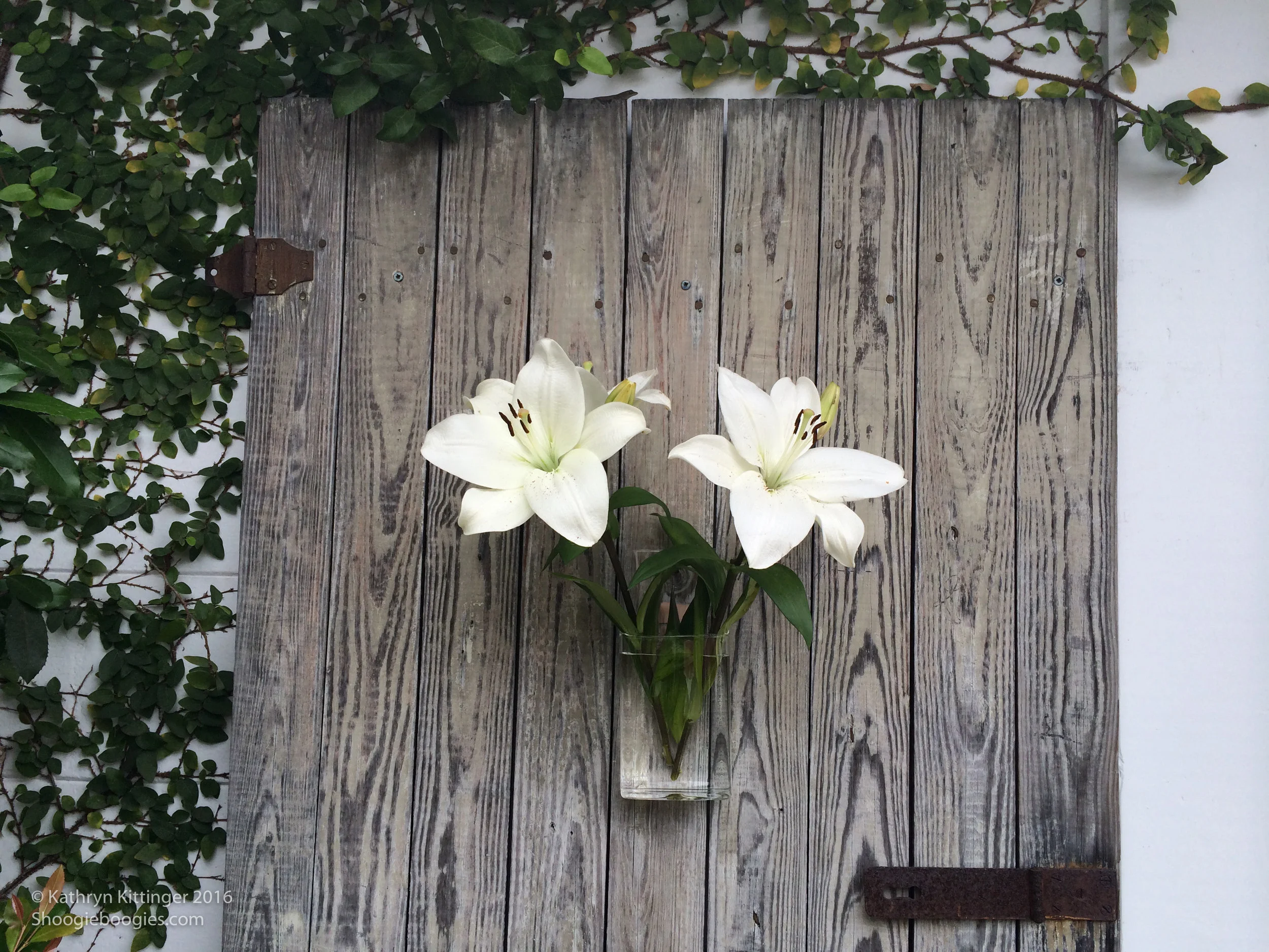 Shoogie Boogies Flower Wall Vase