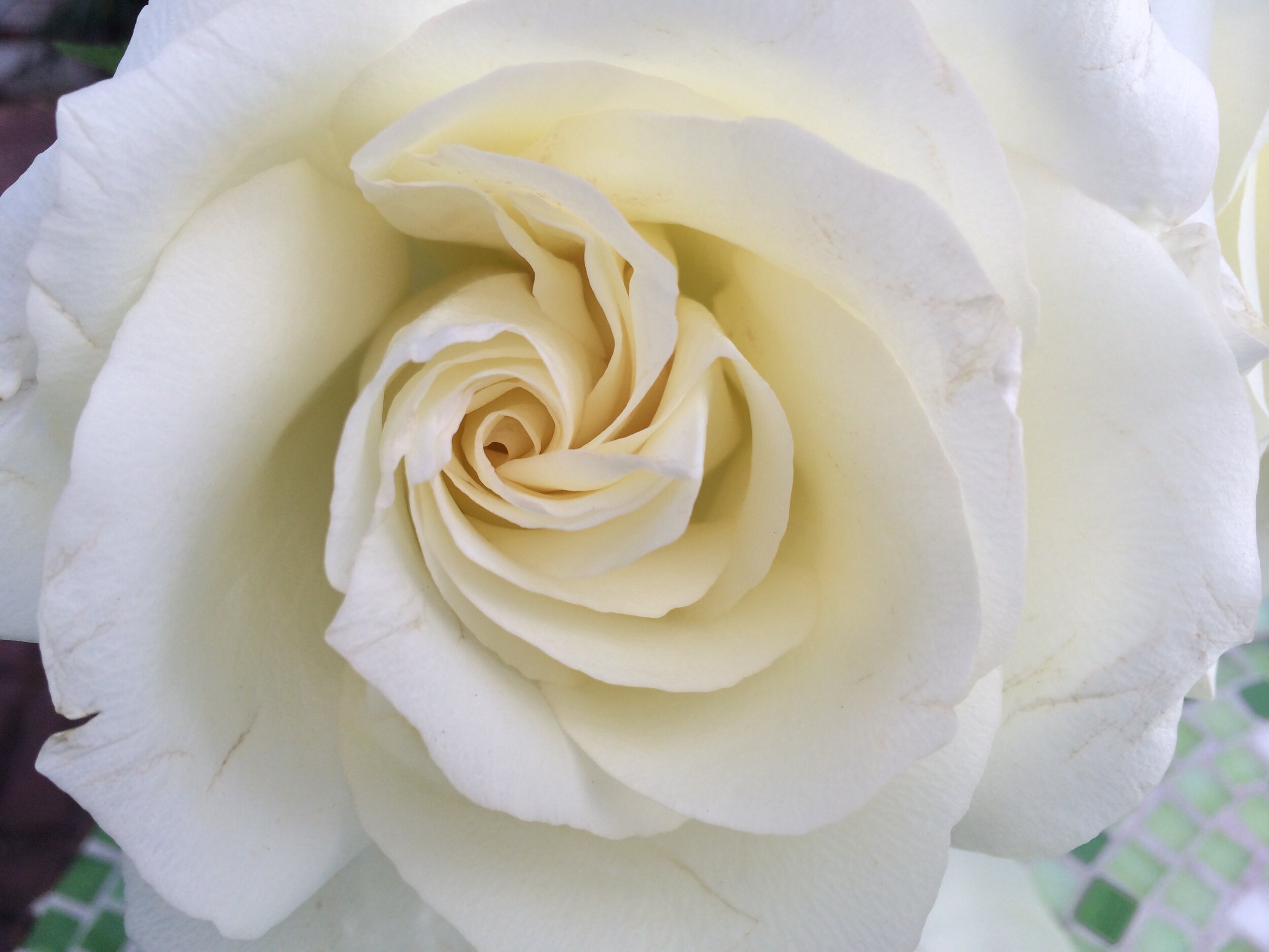 2014-10-24 15.00.09.jpg