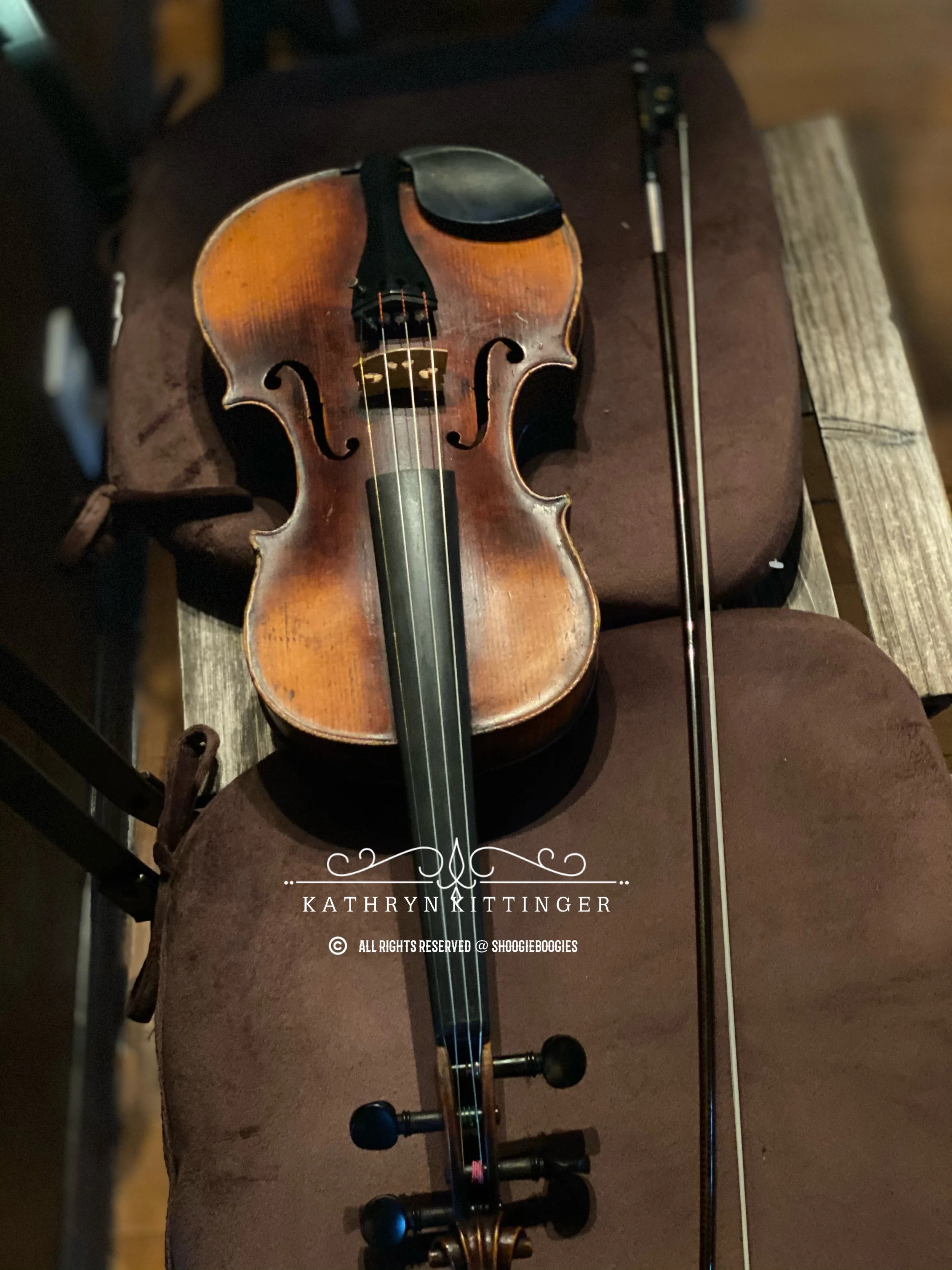 Violinist Add On to Small Wedding