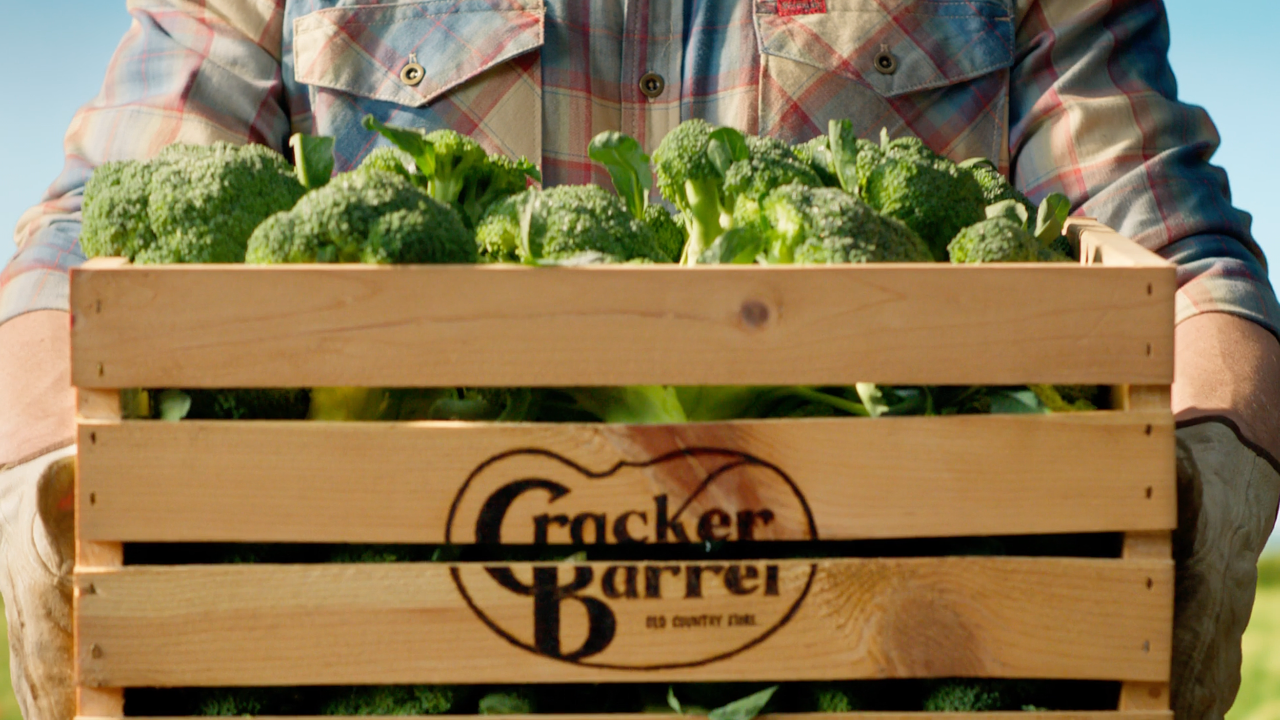 Cracker Barrel - Sounds Like Spring