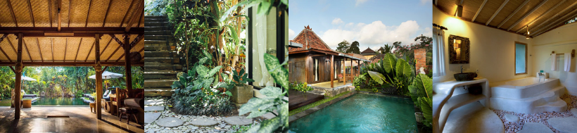 Bali Retreat 2019-3.png