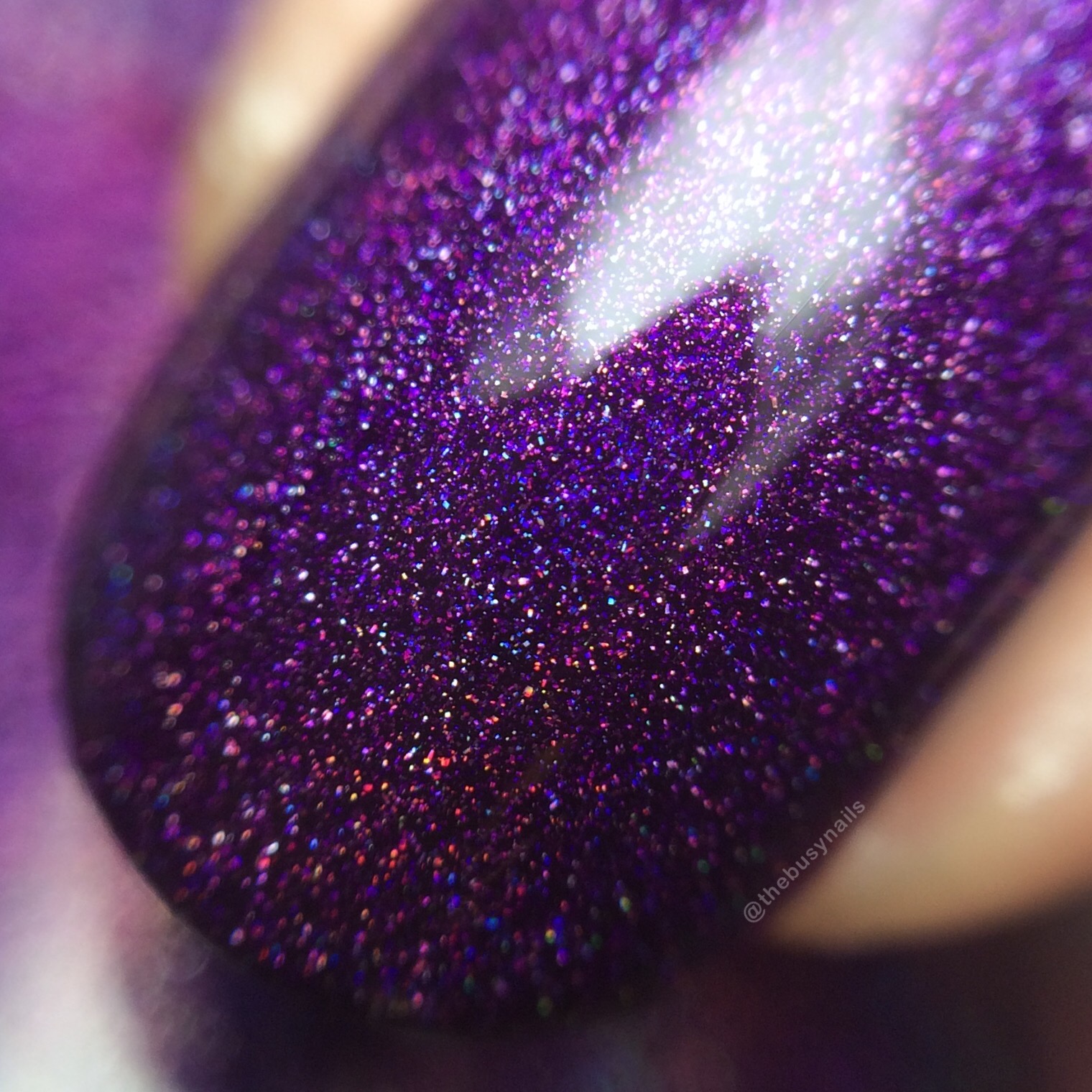 Starrily Ultraviolet macro