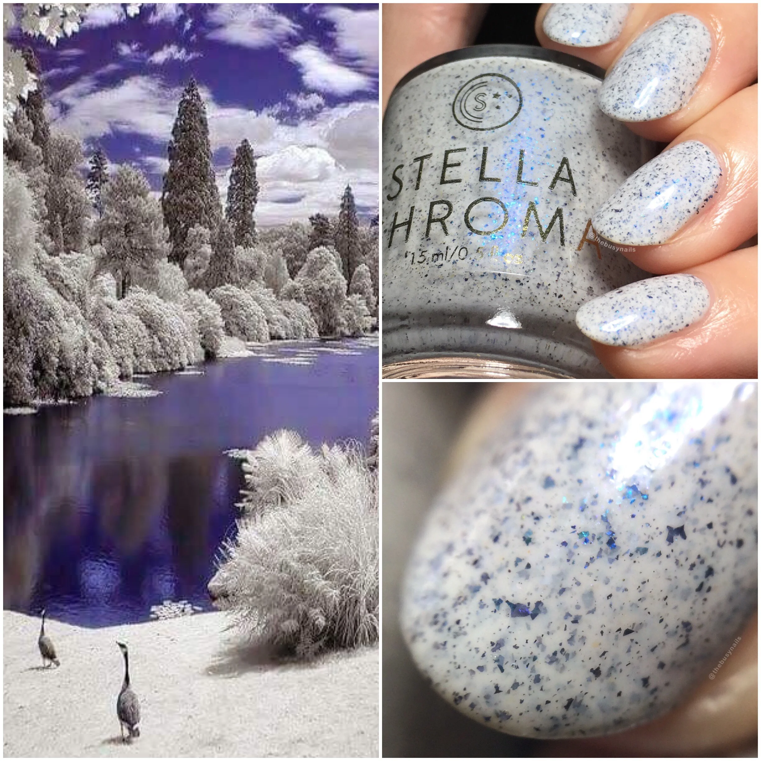 reflections-collage.jpg