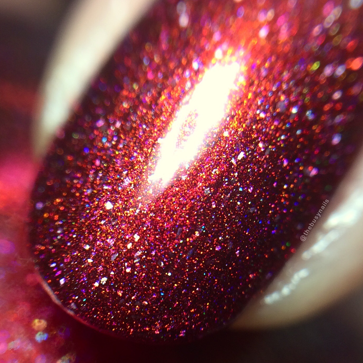 crimson-glow-macro.jpg