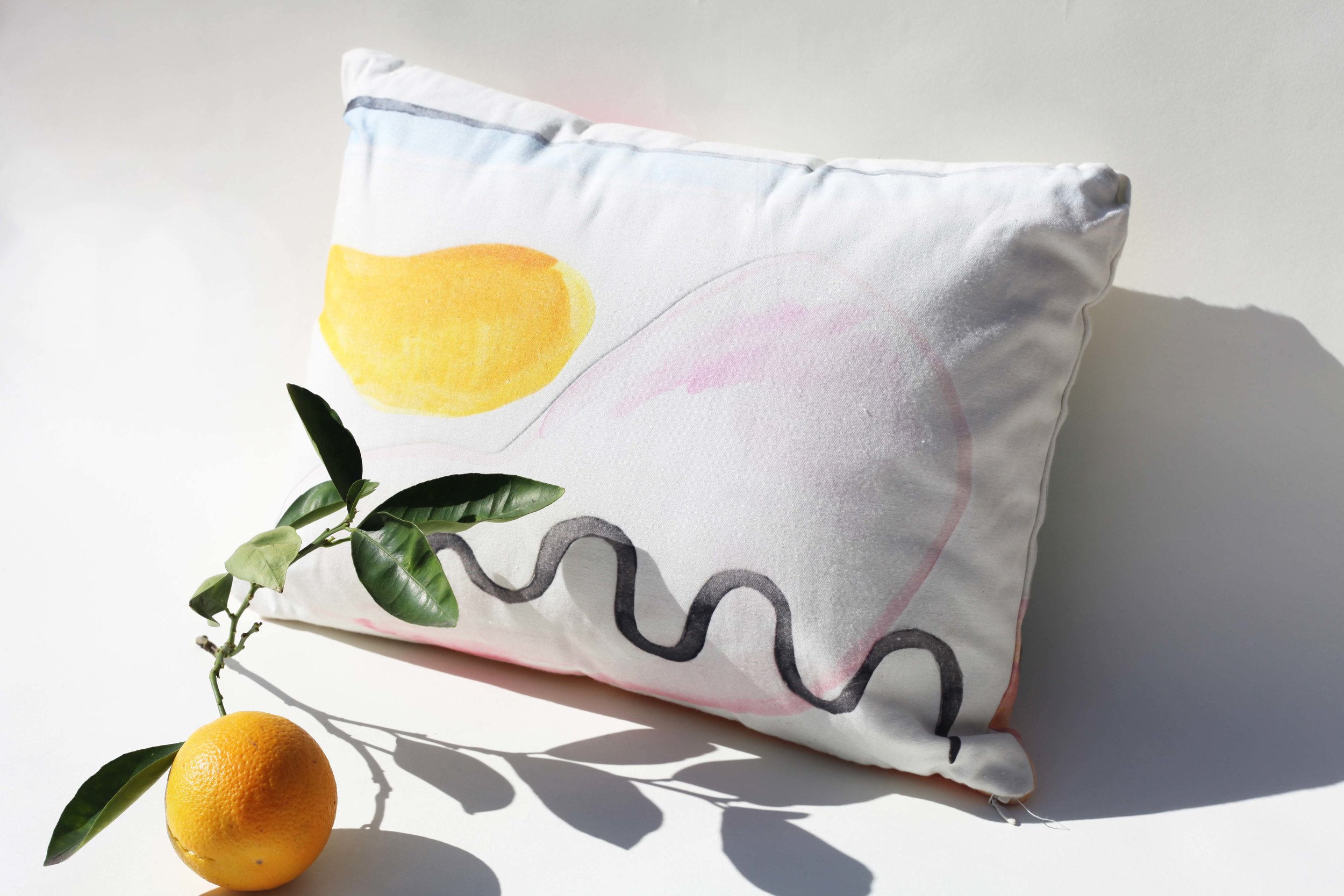 Form+Color_Pillows3.jpg