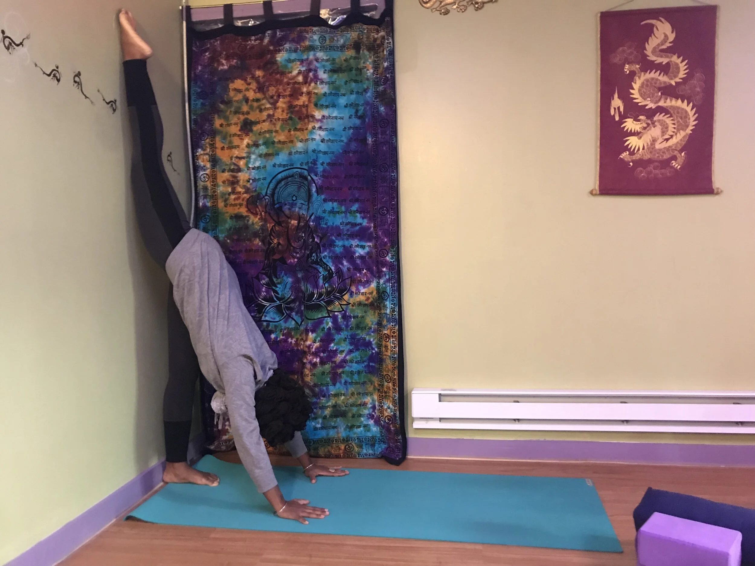 50 Hr. Immersion Study/Training : Deepen Practice + Find Your Flow!