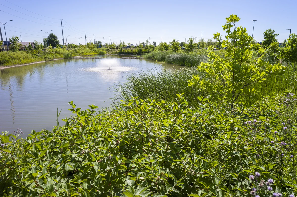 Stormwater retention pond as a landscape feature at St. Catharines Hospital, Niagara Health System