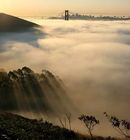 San Francisco in fog.jpg