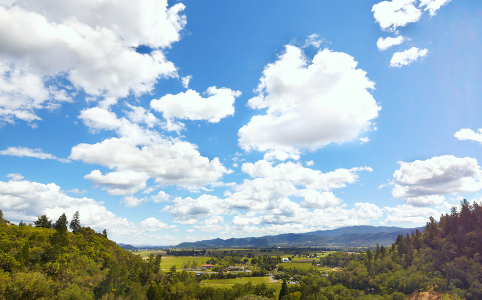 ads-gal-res-napavalley.jpg