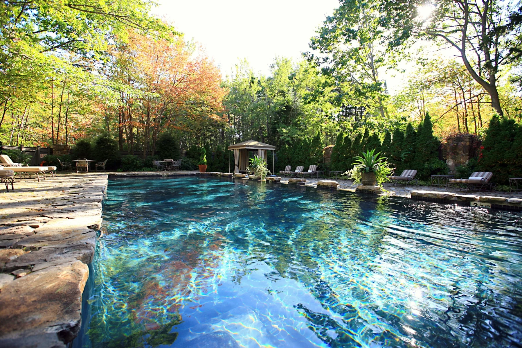 WBI Pool.jpg