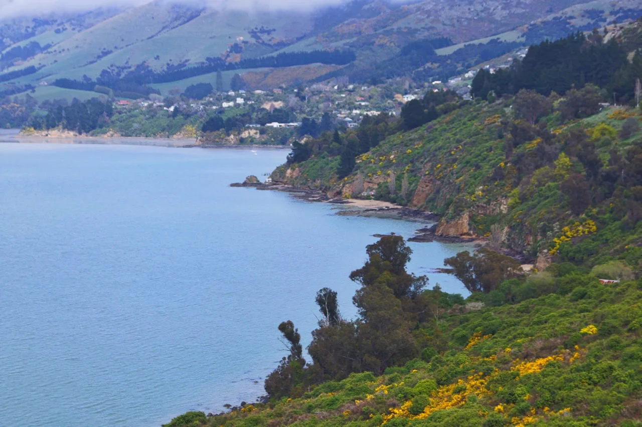 Round the bay.jpeg