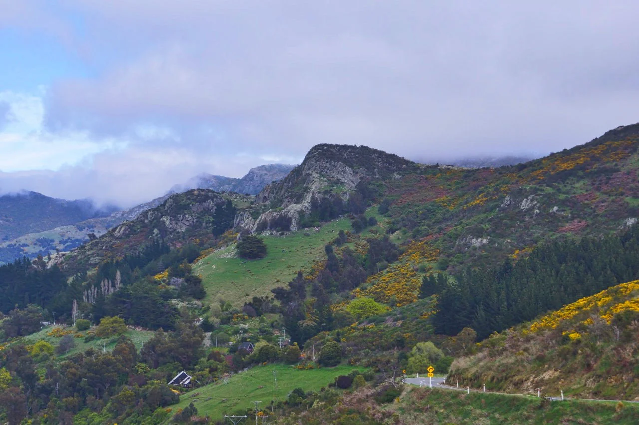 hills round bay.jpeg