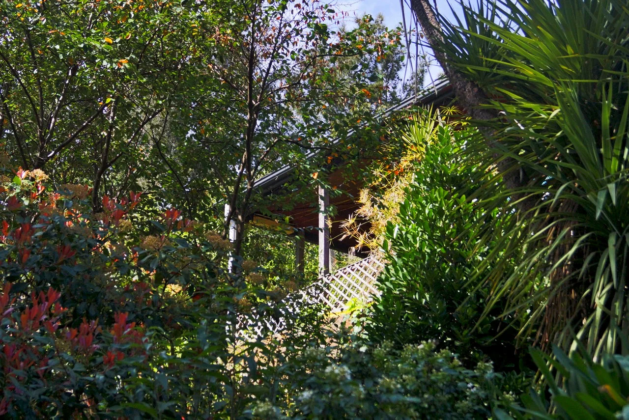Balcony through trees.jpeg