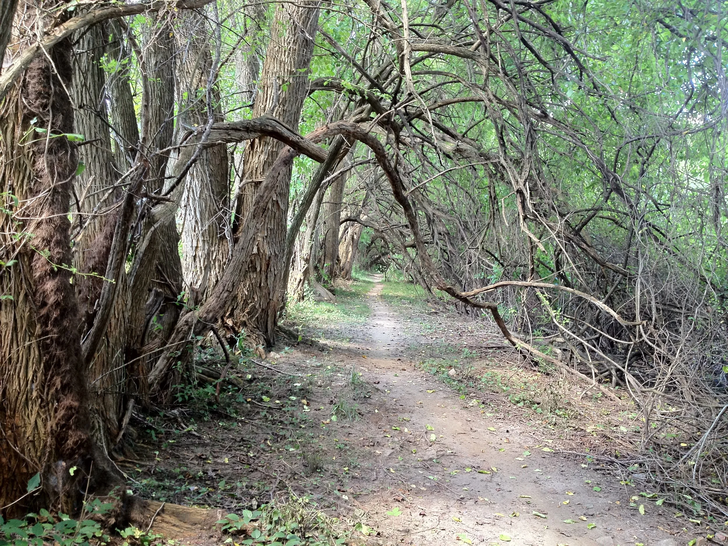 Trails & Boundary Lines