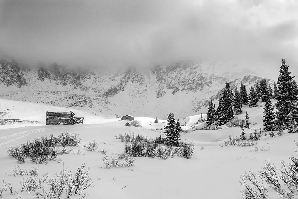 0729_web-BW.jpg