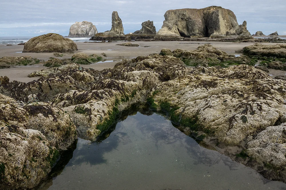 Bandon Beach