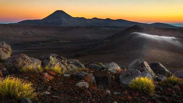Les Rackham's winning photograph - isolation