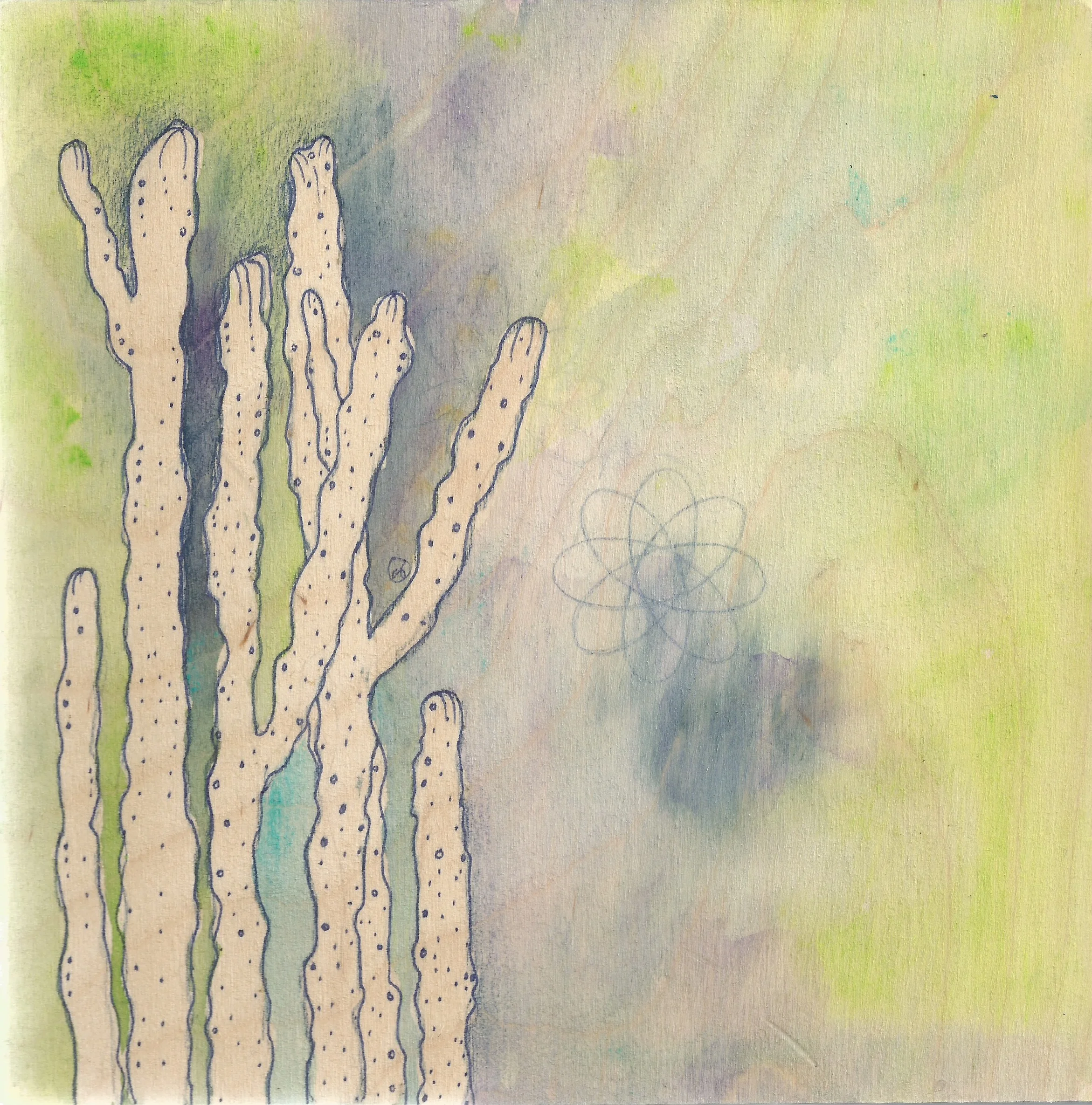 cool cactus .jpg